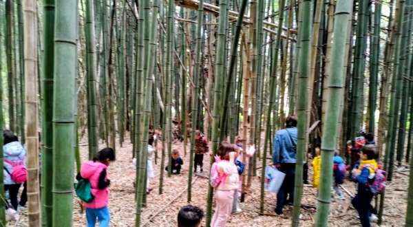blog images